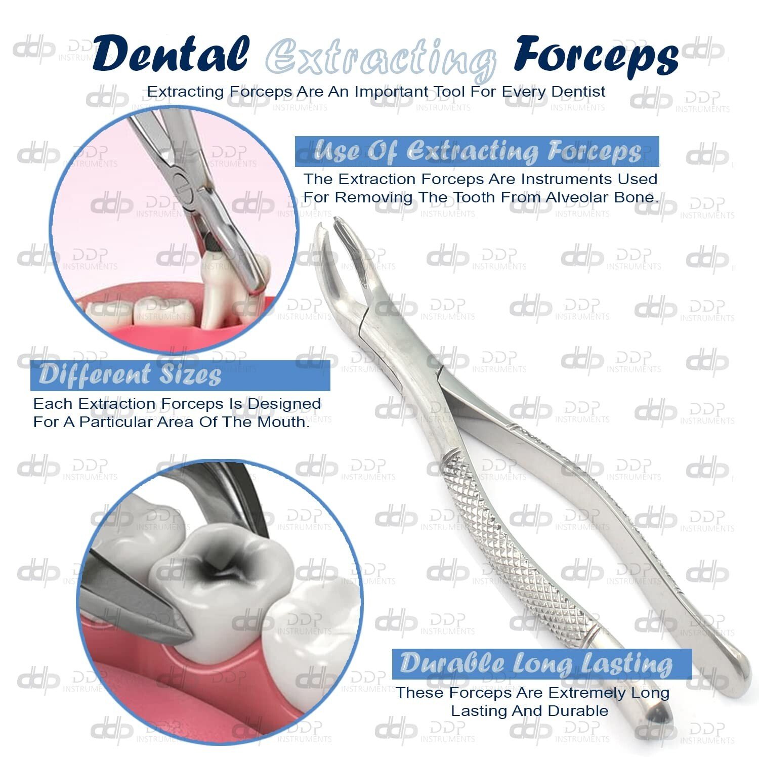 1 New Dental Extracting Forceps-Upper Molars Right Fig 17 Instruments - Image 4