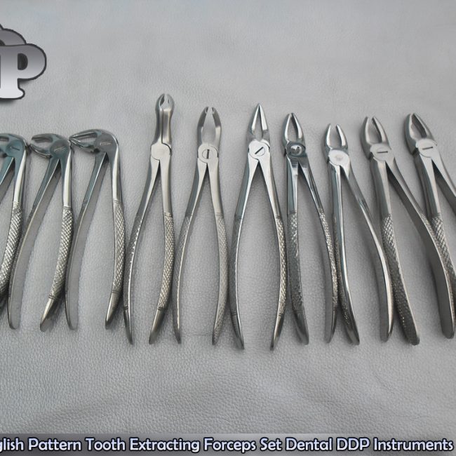 10 STAINLESS ORAL DENTAL EXTRACTION SURGERY EXTRACTING FORCEPS INSTRUMENT