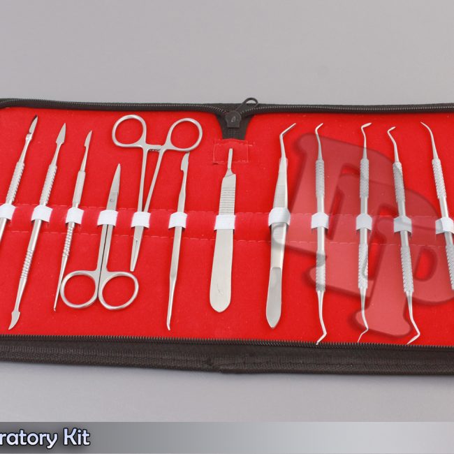 14 Pcs Modeling Instruments Dental Laboratory Kit, DDP-1142