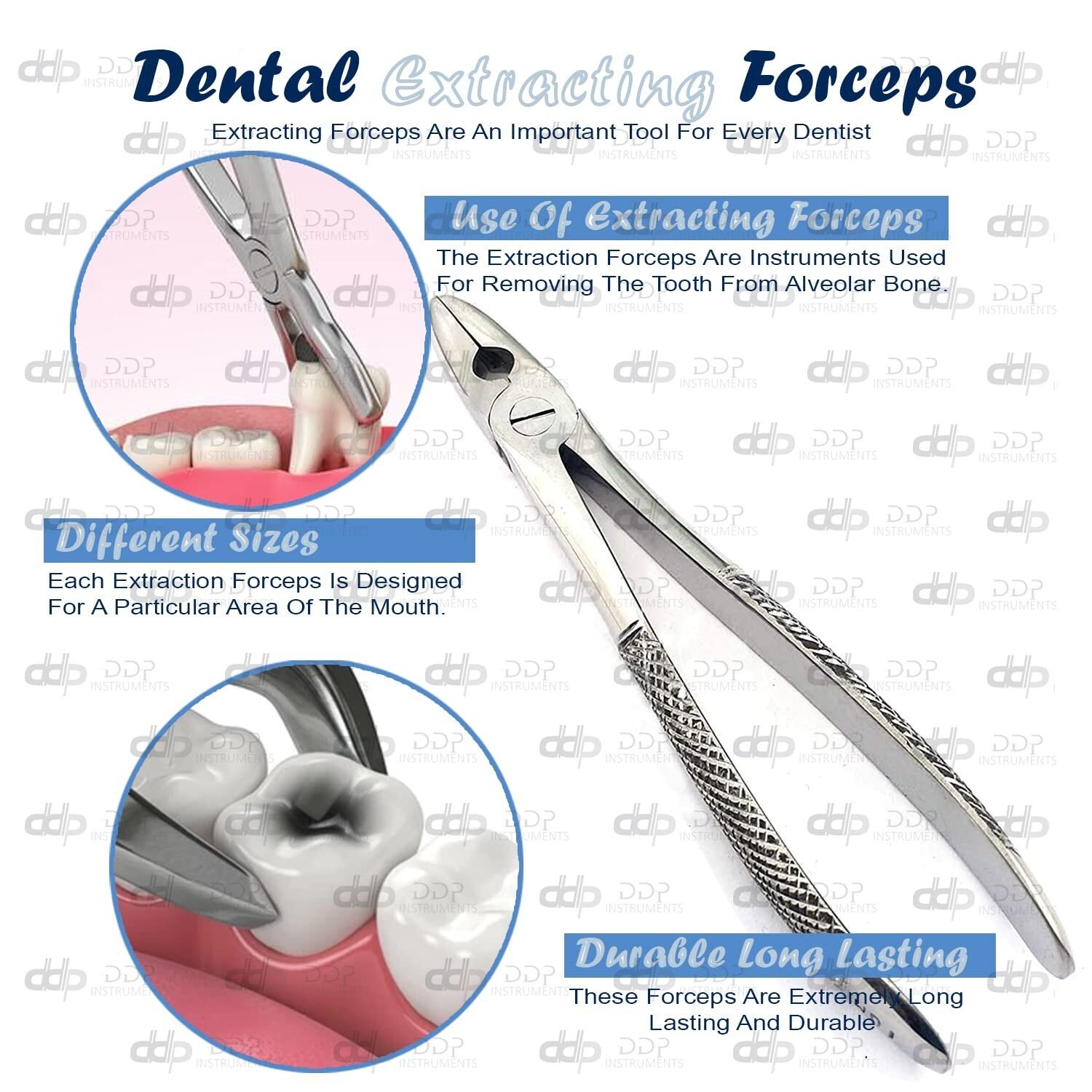 20 Dental Extracting Forceps MD1 Surgical Dental Instruments - Image 3