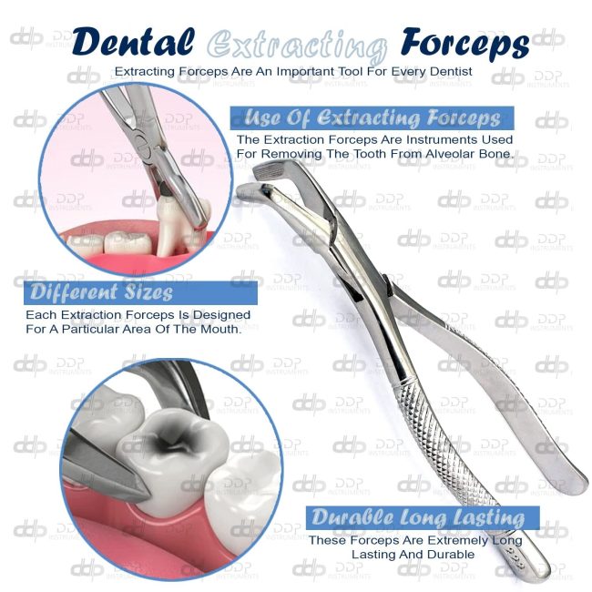 3 EXTRACTING FORCEPS # 222 DENTAL SURGICAL INSTRUMENTS