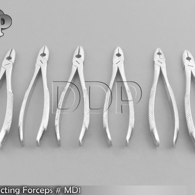 6 Pieces Dental Extracting Forceps MD1 Surgical Dental Instruments