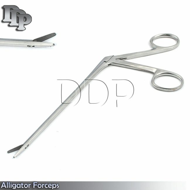 Alligator Ear Forcep 12" Veterinary Instruments