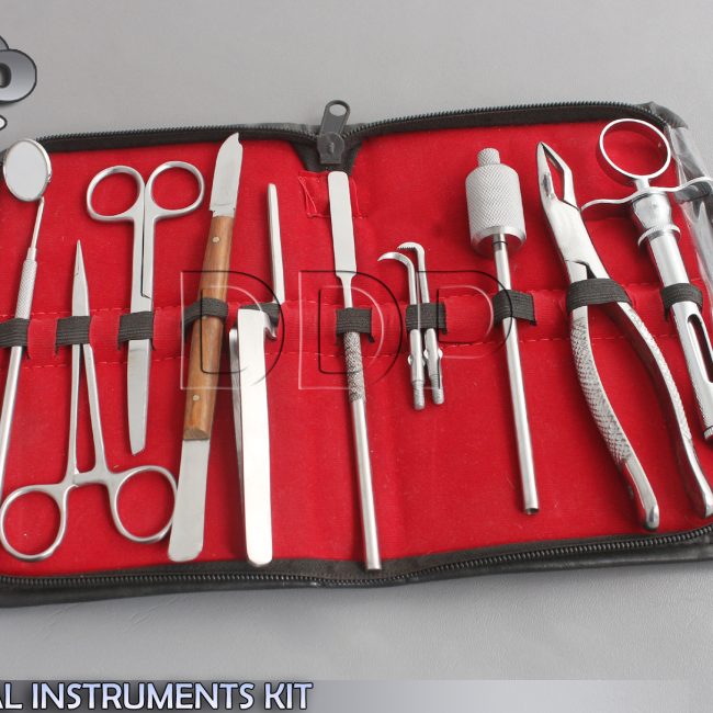 DENTAL INSTRUMENTS KIT 10 PC CROWN REMOVER SYRINGE