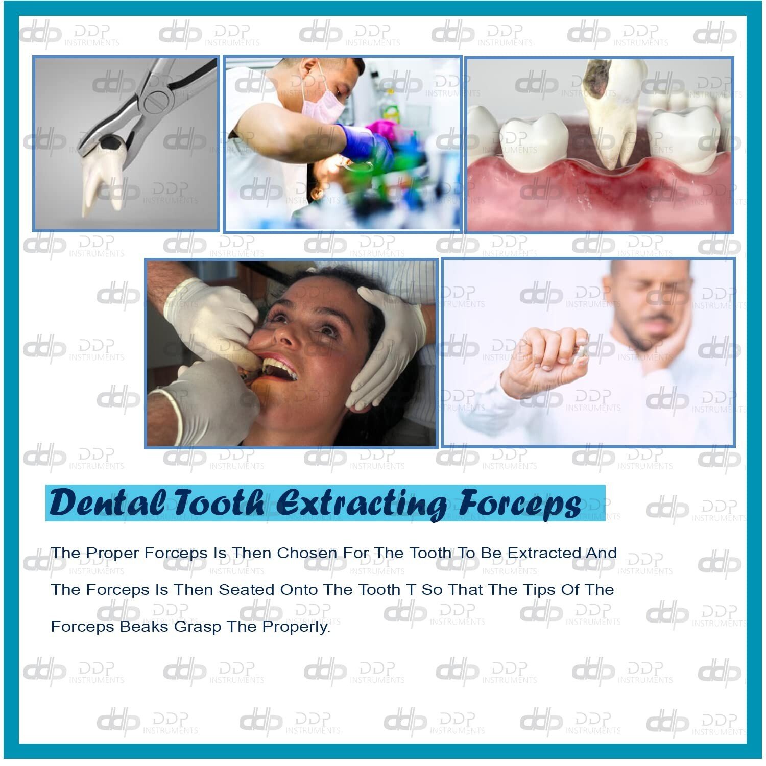 EXTRACTING FORCEPS # 99C DENTAL SURGICAL INSTRUMENTS - Image 4