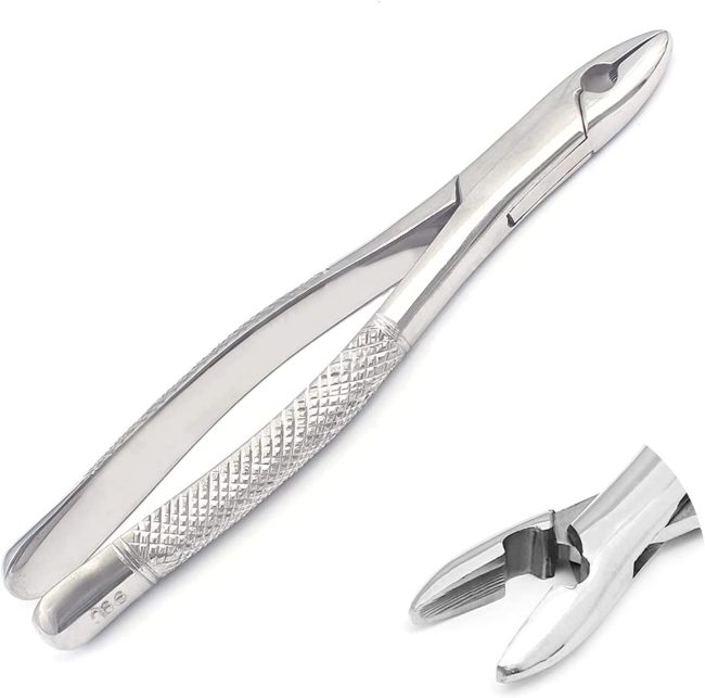 EXTRACTING FORCEPS # 99C DENTAL SURGICAL INSTRUMENTS