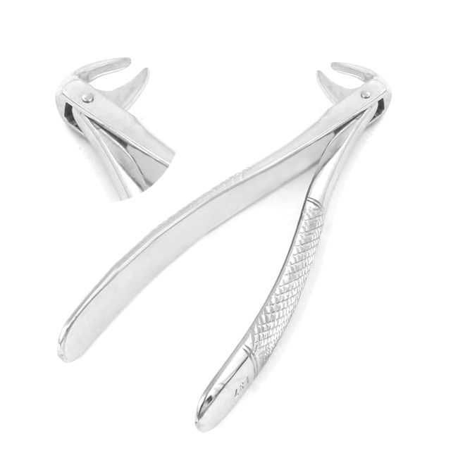Extracting Forceps # 137 English Pattern Dental Surgical Instruments