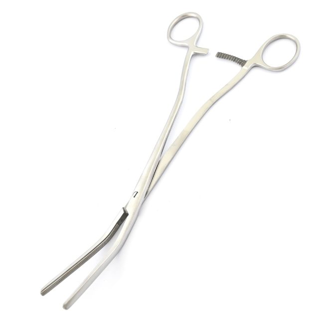 Intestinal Clamps 10'' Stainless Steel Dental Surgical Instruments DS-1932