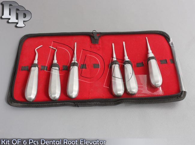 Kit OF 6 Pcs Dental Root Elevator Straight Surgery Extracting Instruments