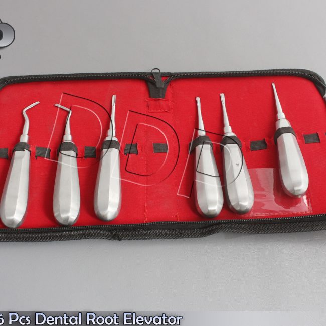Kit OF 6 Pcs Dental Root Elevator Straight Surgery Extracting Instruments