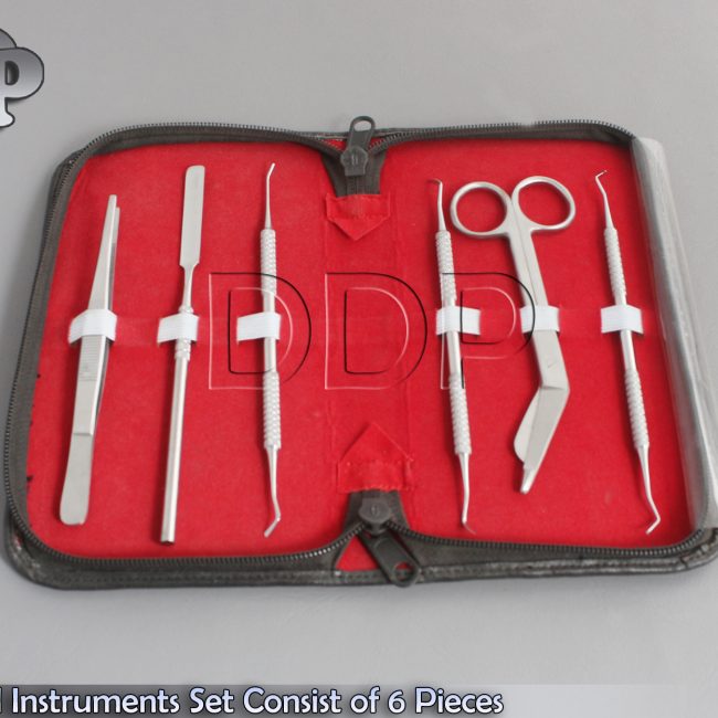 Lot of 3 Dental Instruments Set Consist of 6 Pieces Pr-121