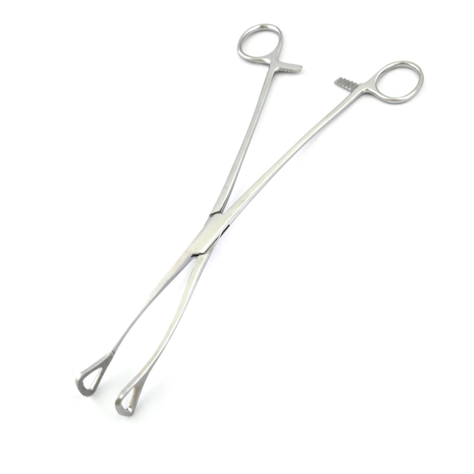 1 Pc Duval Lung Forceps 10'' Stainless Steel Surgical Instruments DS-1987 - Image 3