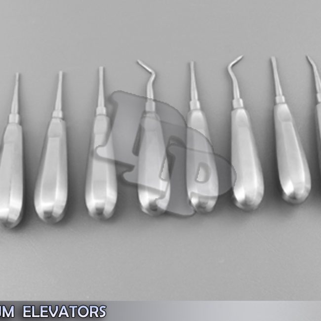 10 PCS PREMIUM ROOT TIP DENTAL ELEVATORS INSTRUMENTS