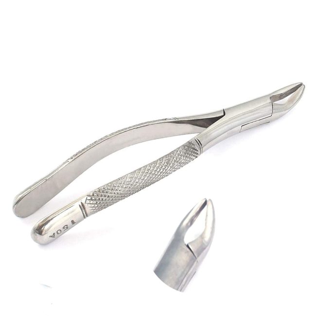 6 Pieces EXTRACTING FORCEPS #150A DENTAL SURGICAL INSTRUMENTS