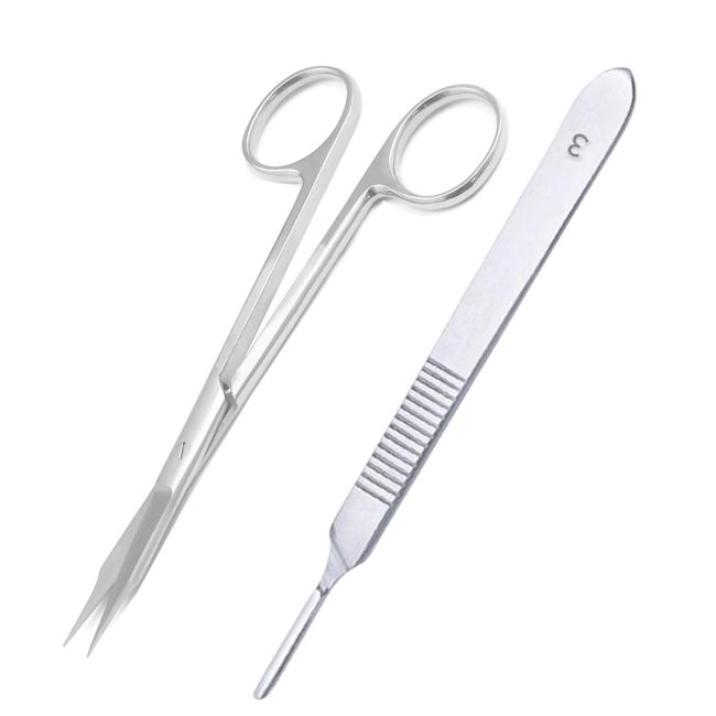 Dental Scalpal BP Handle No.3 Goldman Fox Suture Straight Surgical Scissor
