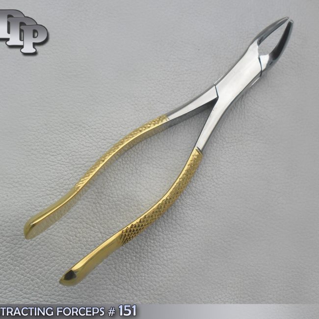 EXTRACTING FORCEPS # 151 GOLD PLATED DENTAL SURGICAL INSTRUMENTS