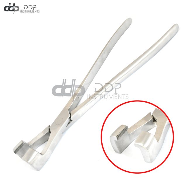 Equine Molar Forceps 14" Surgical Veterinary Instruments V-0033