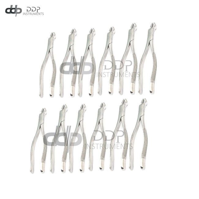 Lot Of 12 Pieces Dental Tooth Extracting Forceps #210 Surgical Dental Instrument