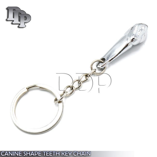 1 Piece Of Canine Shape Teeth Key Chain