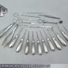 22 PCS PREMIUM DENTAL ORAL SURGERY KIT SURGICAL INSTRUMENTS FORCEPS GOLD HANDLE