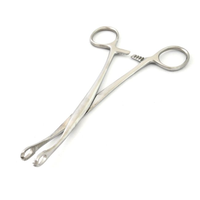 Blohmke Tonsil Grasping Forceps 8'' Serrated Fenestrated Jaws Surgical DS-1850