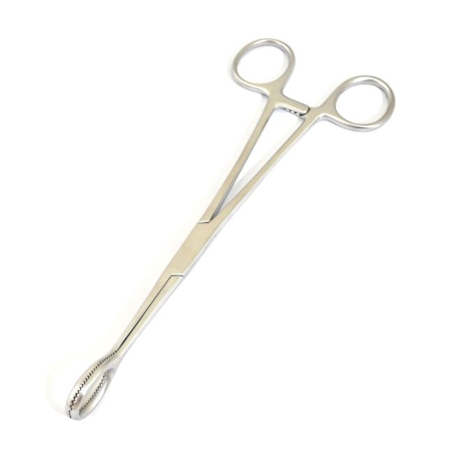 Collin Tongue Forceps 8'' Stainless Steel Surgical Instruments DS-2254