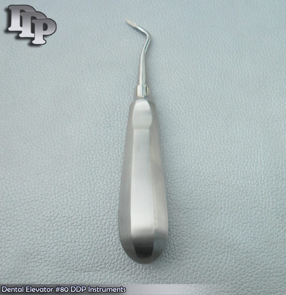 Dental Elevator # 80 Surgical Veterinary Instruments