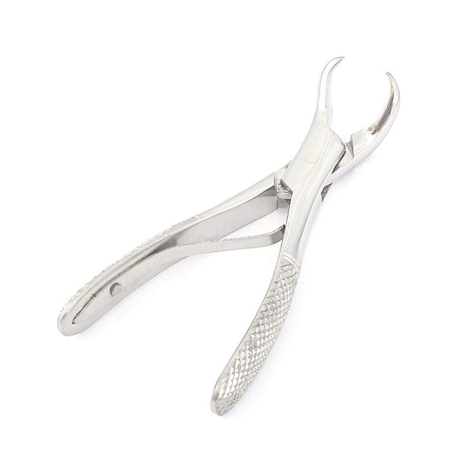 Dental Extracting Forceps #23S For Lower Molars Cow Horn Dental Surgical