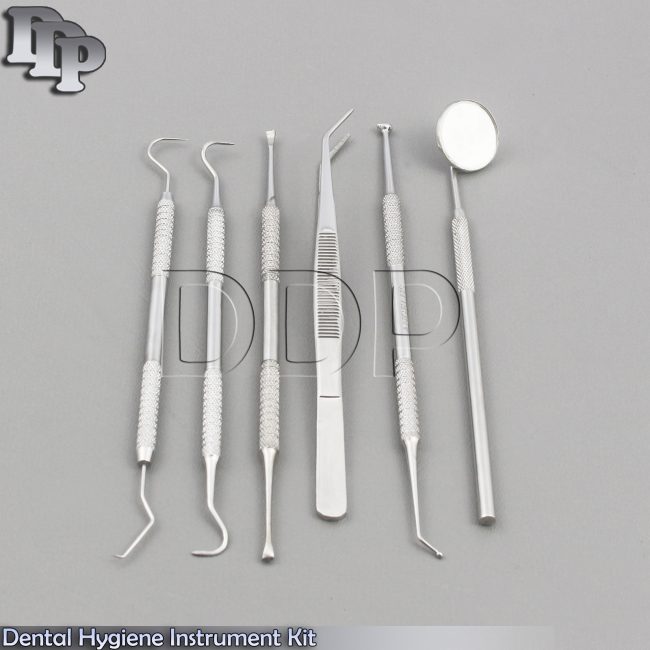 Dental Hygiene Instrument Kit Anterior Sickle Scaler Tartar Remover Explorer Lab