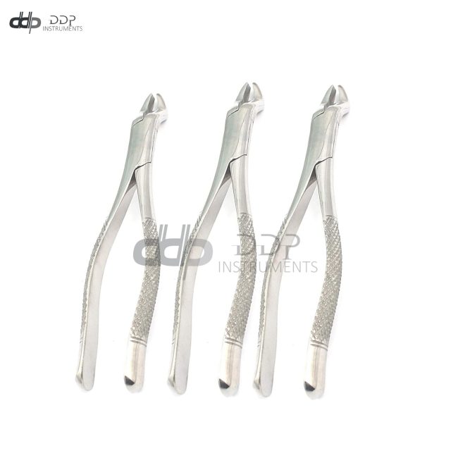Lot Of 3 Pieces Dental Tooth Extracting Forceps #210 Surgical Dental Instruments
