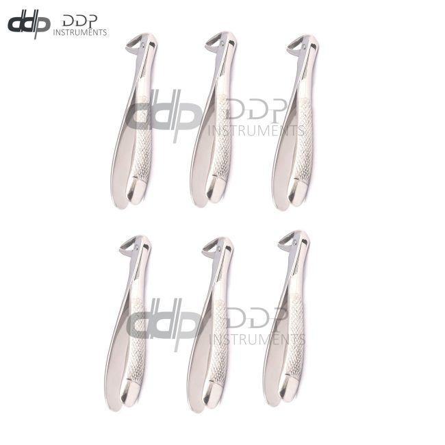 Lot Of 6 Pieces Extracting Forceps #106 Dental Surgical Instruments