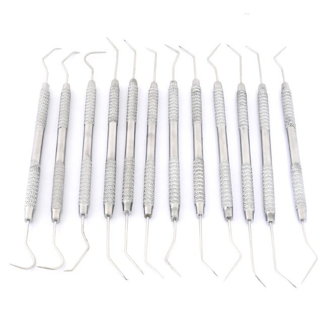 12 Pcs New Dental Tools Tartar Scratches Dental Picks Probe Scaler Set PR-486