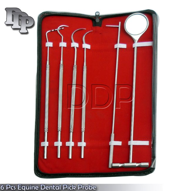 6 Pcs Equine Dental Pick Probe Scalers Veterinary Instruments