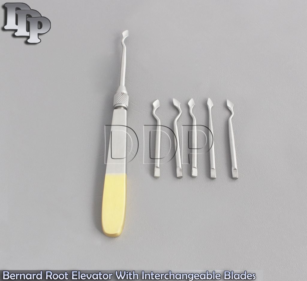 Bernard Root Elevator With Interchangeable Blades Gold Handle Dental Instruments