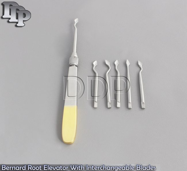 Bernard Root Elevator With Interchangeable Blades Gold Handle Dental Instruments