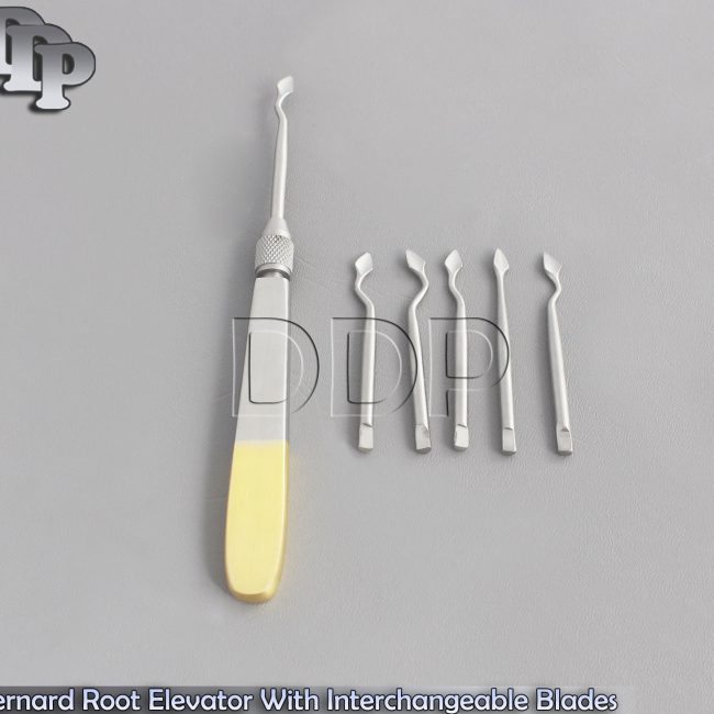 Bernard Root Elevator With Interchangeable Blades Gold Handle Dental Instruments