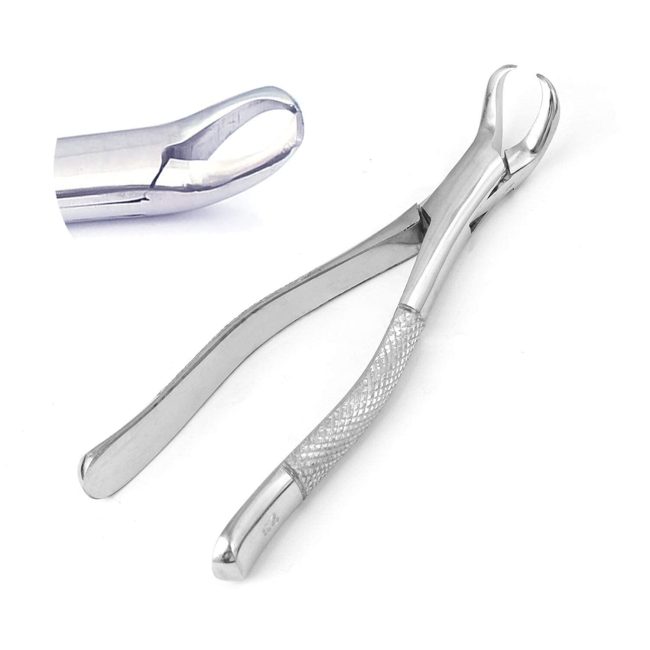 DENTAL TOOTH EXTRACTING FORCEPS 23 COW HORN LOWER MOLAR