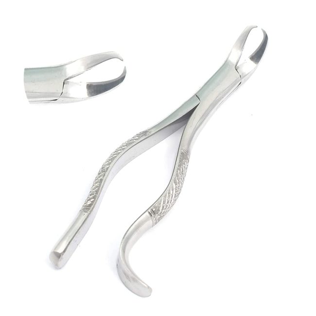 Extracting Forceps #16 Dental Surgical Instruments