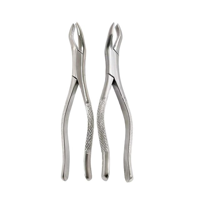 Extracting Forceps Set Of 2 - 53L & 53R - Surgical Dental Instruments