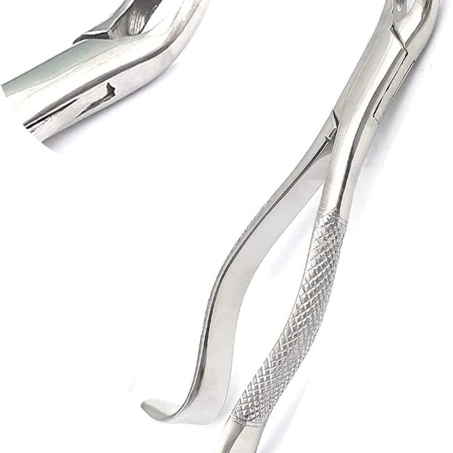 GERMAN EXTRACTING FORCEPS # 24 DENTAL SURGICAL INSTRUMENTS EXTRACTION FORCEPS