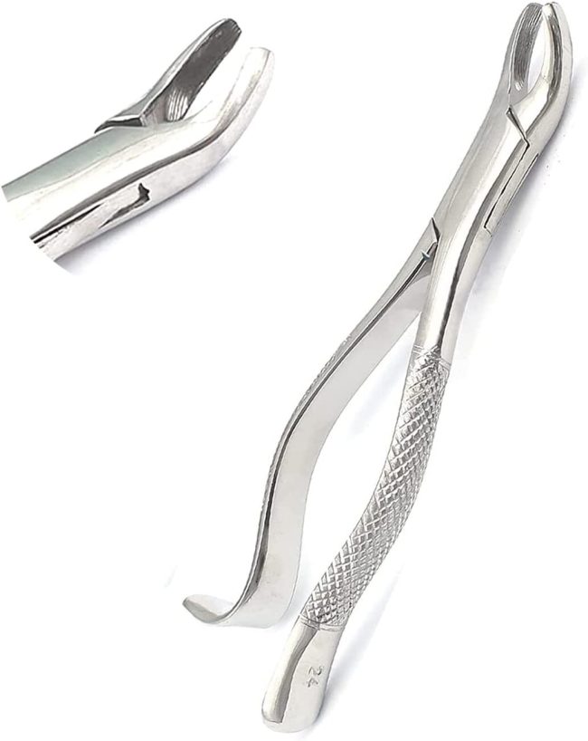 GERMAN EXTRACTING FORCEPS # 24 DENTAL SURGICAL INSTRUMENTS EXTRACTION FORCEPS