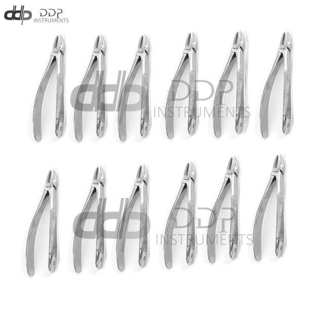 Pack Of 12 Pieces Tooth Extracting Forceps # 30 Surgical Dental Instruments