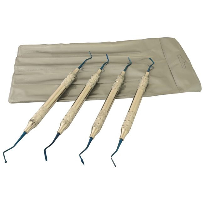 Set Of 4 Pcs Titanium Blue Tips Hollow Handle Composite Filling Inst DN-2422