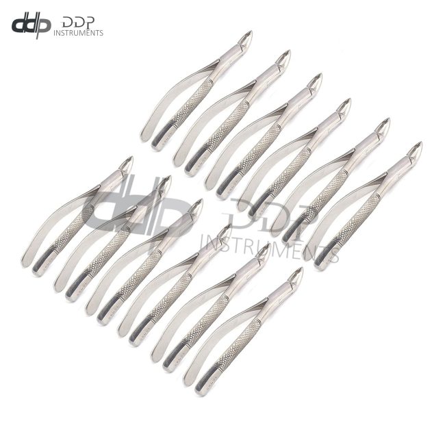 Set of 12 Dental EXTRACTING Forceps #150AS Dental Extraction Instruments