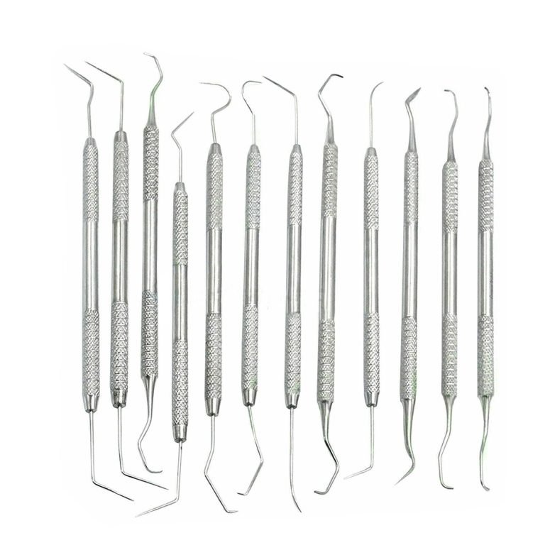 12 Piece Dental Probe Pick Tool Instrument Set Stainless Steel Scaler PR-296