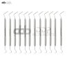 12 UNC15/23 Expro Periodontal Probe/Explorer Dental Color