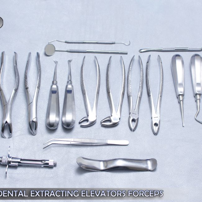19 PCS ORAL DENTAL ROOT SURGERY EXTRACTING ELEVATORS FORCEPS INSTRUMENTS KIT SET