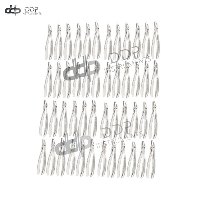 50 Extracting Forceps # MD2 Surgical Dental Instruments