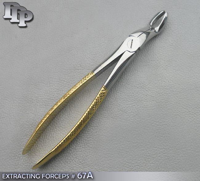 EXTRACTING FORCEPS # 67A GOLD PLATED DENTAL SURGICAL INSTRUMENTS