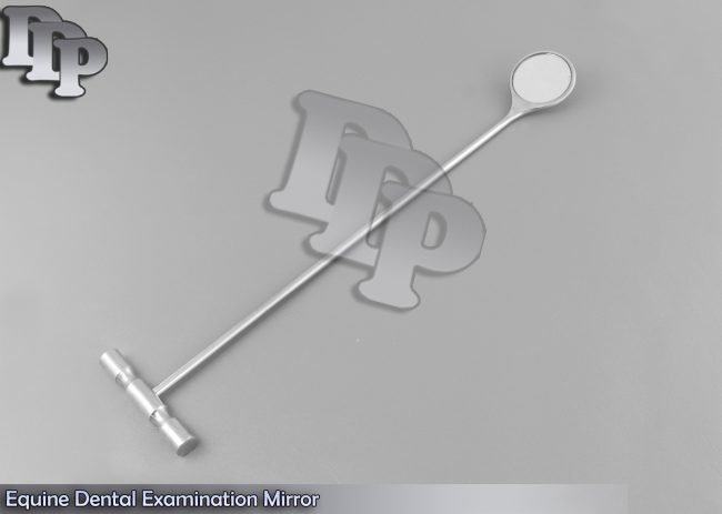 Equine Dental Examination Mirror Veterinary Instruments